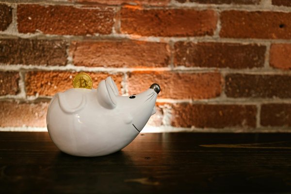 5 Techniques Infaillibles pour Booster la Rentabilité de Votre PME